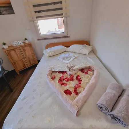 Bellavista Hostel *