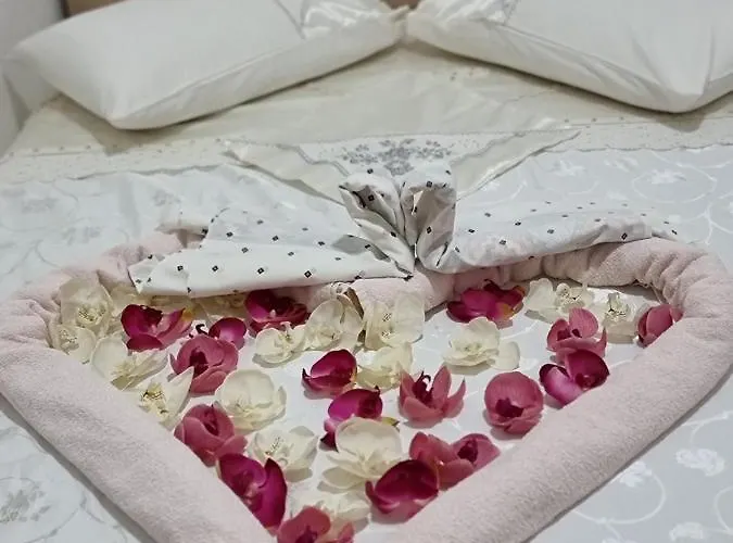 Bellavista 호스텔